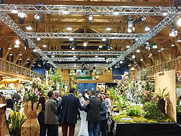 Orchideen-Ausstellung